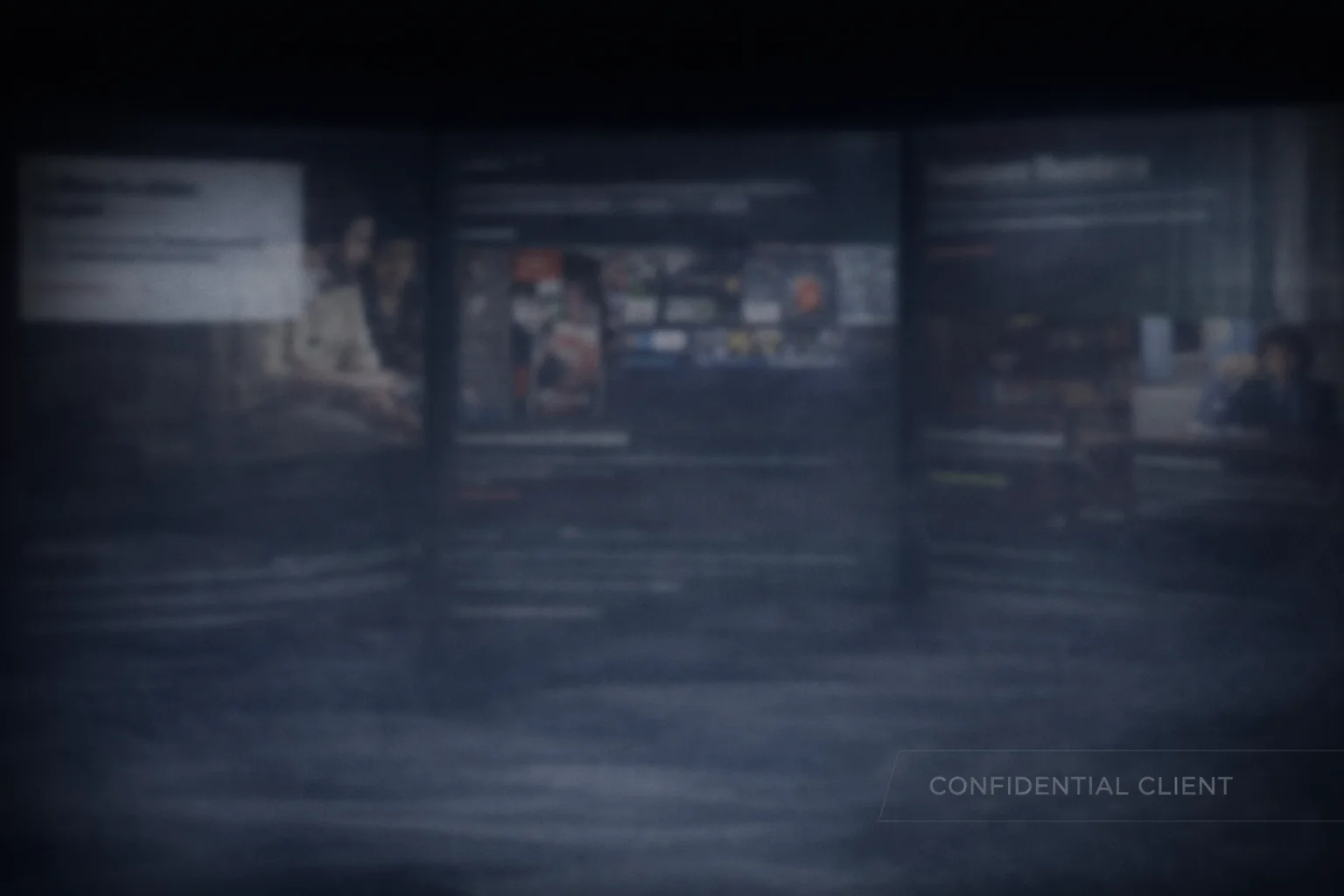 Confidential client visual for a corporate information platform.